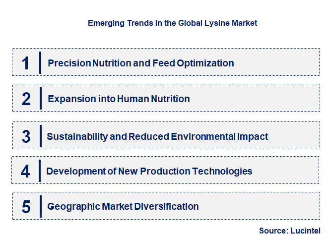 Emerging Trends in the Lysine Market