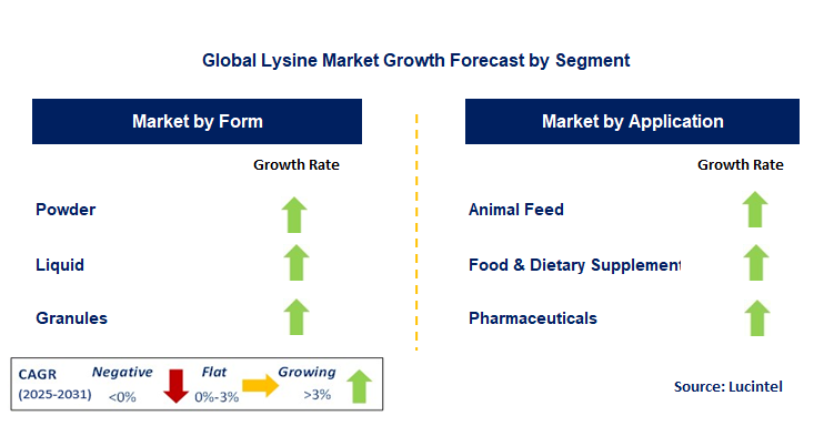 Lysine Market by Segment