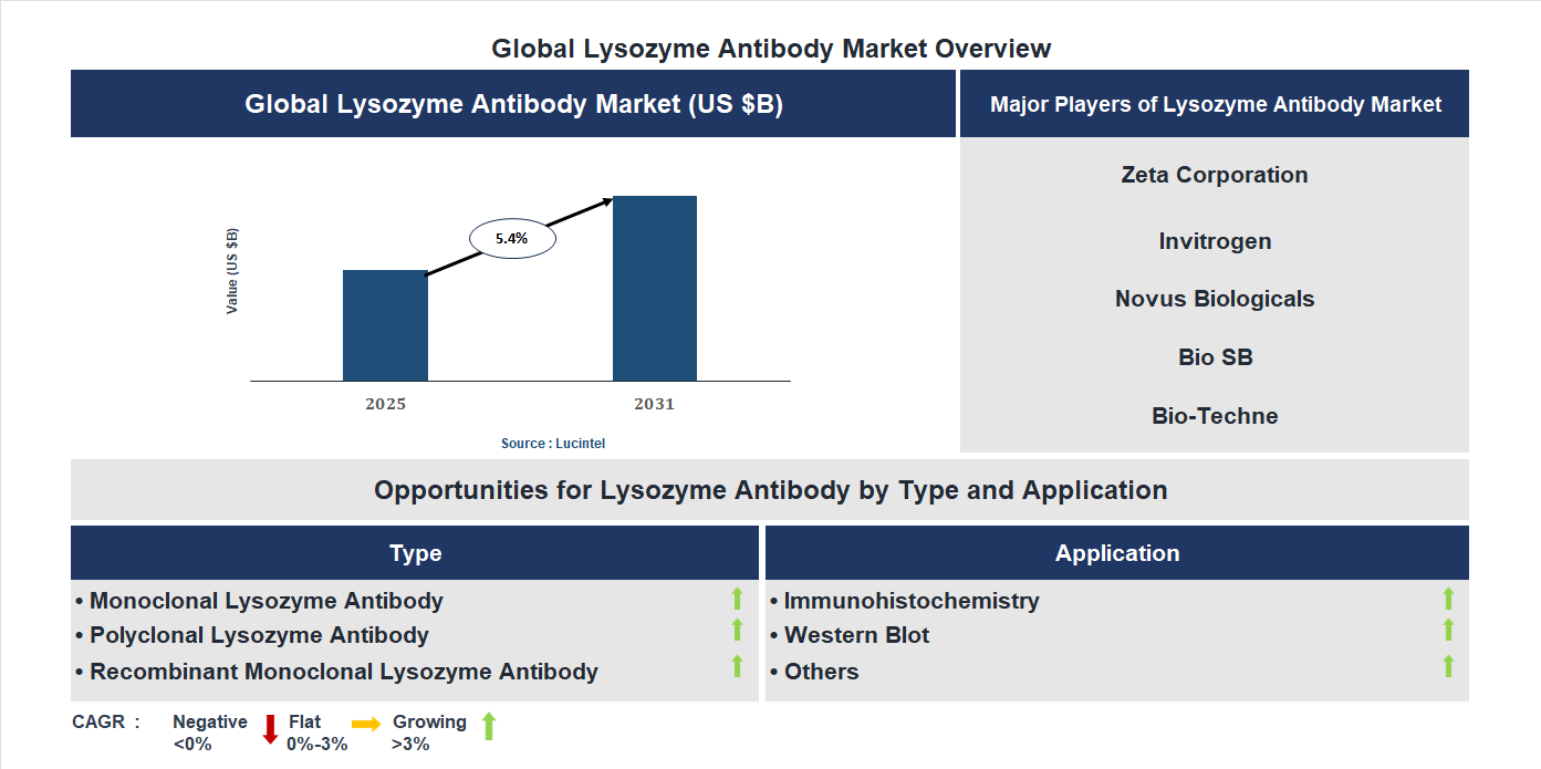 Lysozyme Antibody Market Trends and Forecast