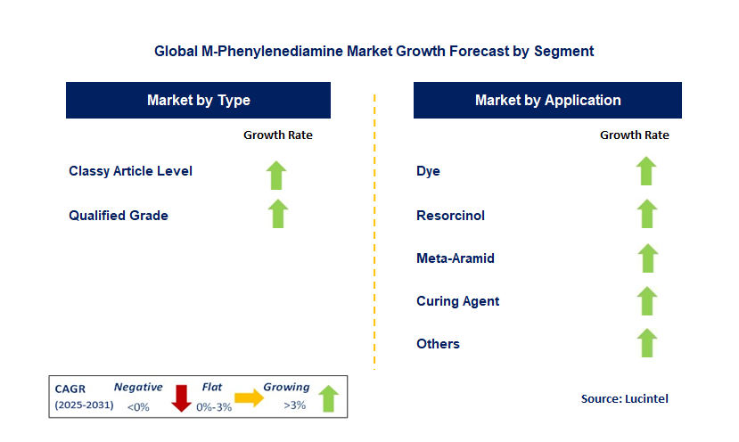 M-Phenylenediamine Market by Segment