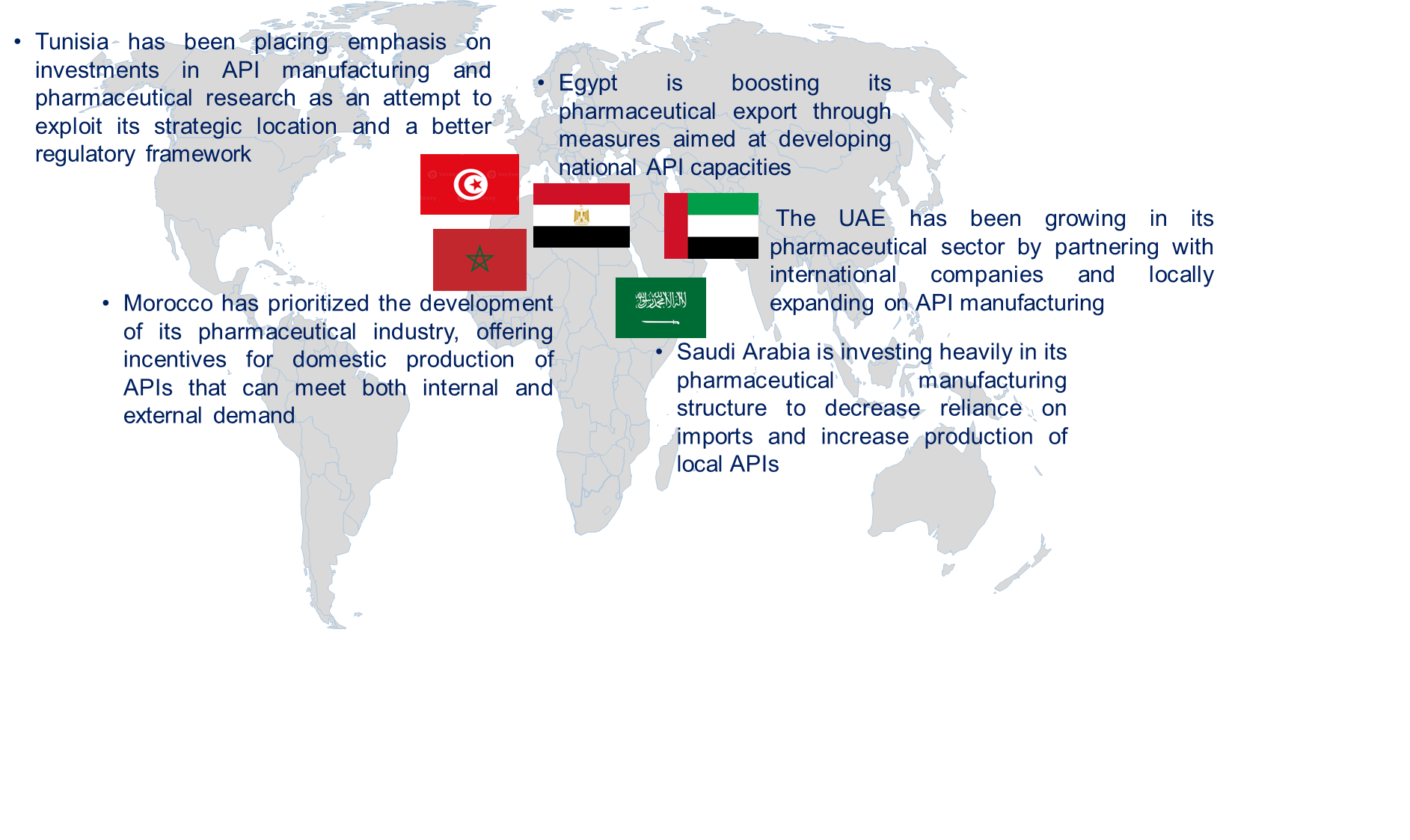 Middle Eastern and North African Active Pharmaceutical Ingredient (API) by Country
