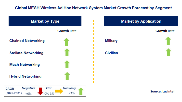 MESH Wireless Ad Hoc Network System Market by Segment