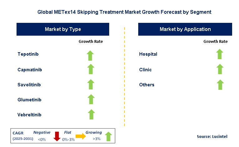 METex14 Skipping Treatment Market by Segment