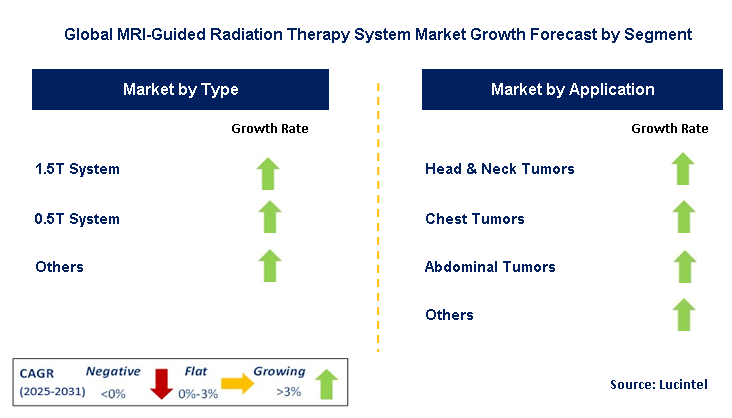 MRI-Guided Radiation Therapy System Market by Segment