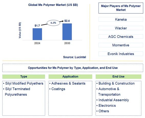 MS Polymer Trends and Forecast