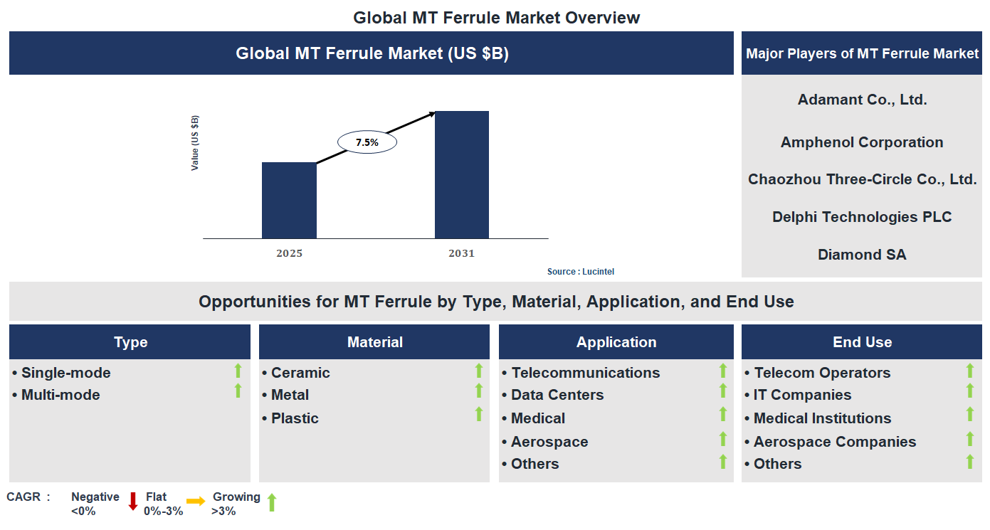 MT Ferrule Market Trends and Forecast