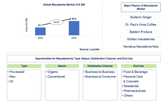 Macadamia Trends and Forecast