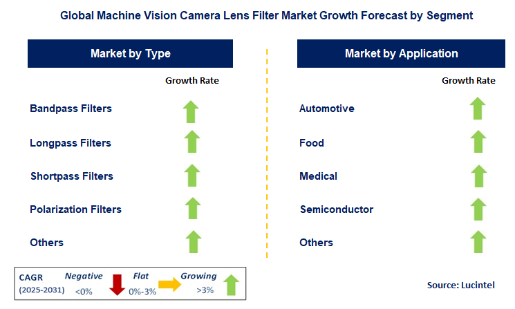Machine Vision Camera Lens Filter Market by Segment