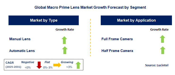 Macro Prime Lens Market by Segment