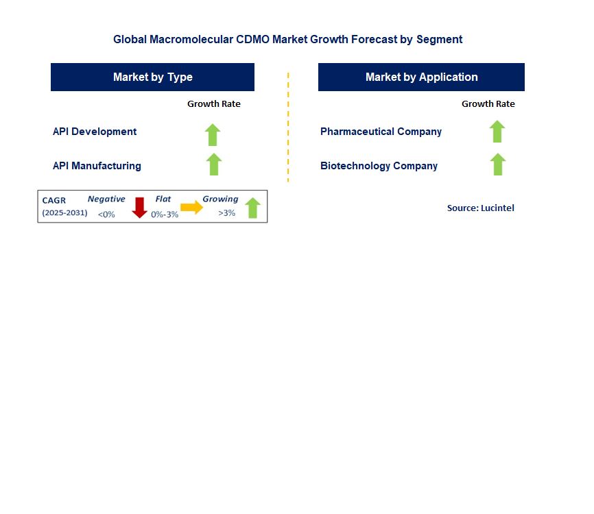 Macromolecular CDMO Market by Segment