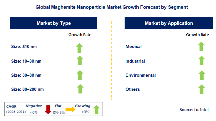 Maghemite Nanoparticle Market by Segment