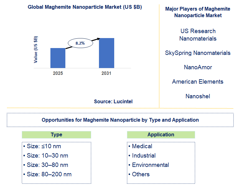 Maghemite Nanoparticle Market Trends and Forecast