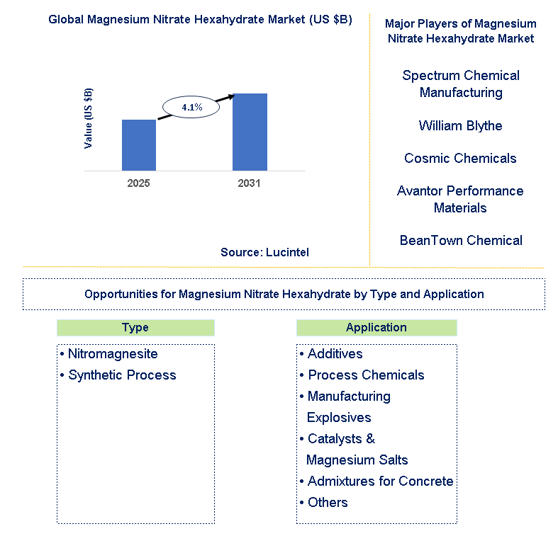 Magnesium Nitrate Hexahydrate Market Trends and Forecast