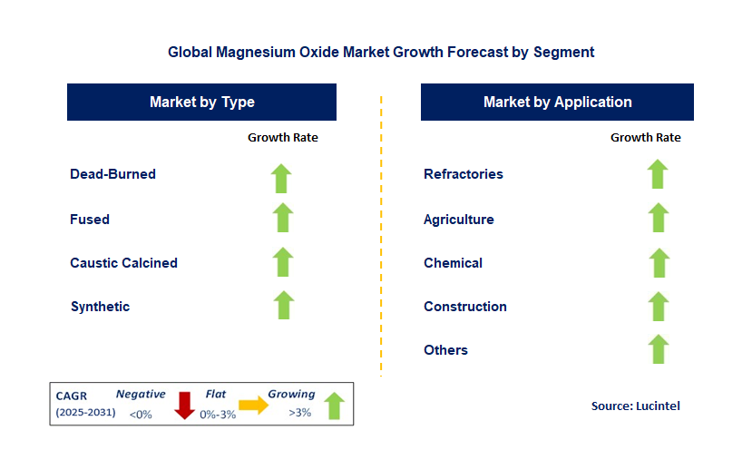 Magnesium Oxide Market by Segment