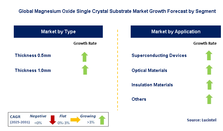 Magnesium Oxide Single Crystal Substrate Market by Segment