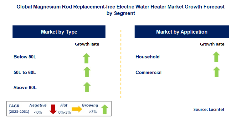 Magnesium Rod Replacement-free Electric Water Heater Market by Segment