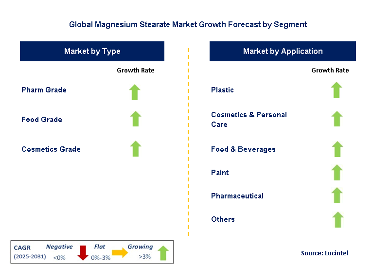 Magnesium Stearate Market by Segment