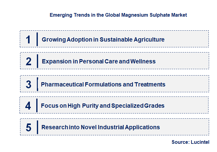 Emerging Trends in the Magnesium Sulphate Market