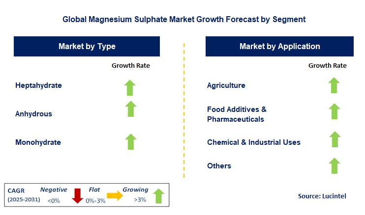 Magnesium Sulphate Market by Segment