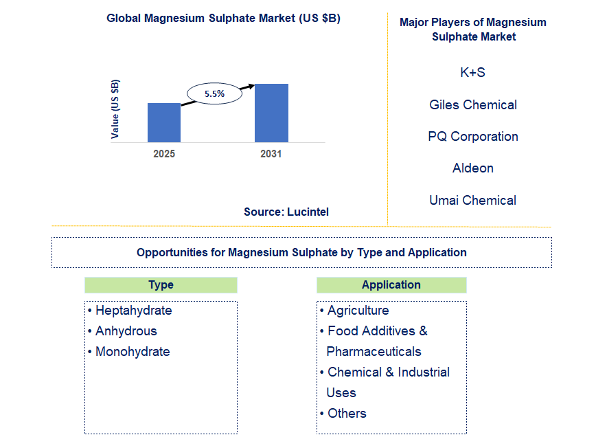 Magnesium Sulphate Market Trends and Forecast