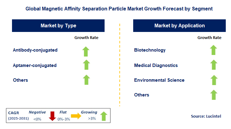 Magnetic Affinity Separation Particle Market by Segment