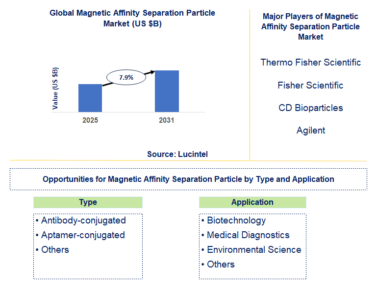 Magnetic Affinity Separation Particle Market Trends and Forecast