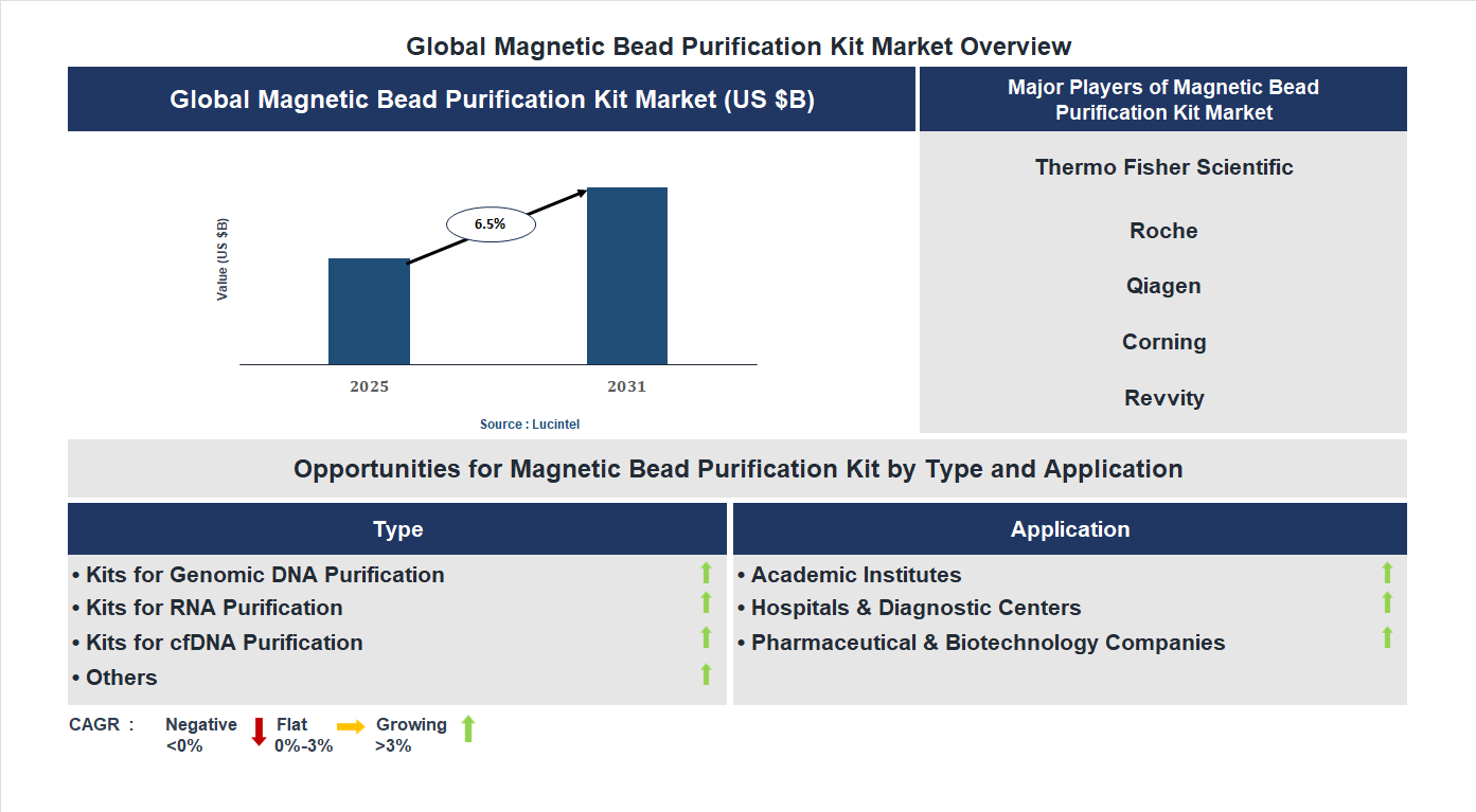 Magnetic Bead Purification Kit Market Trends and Forecast