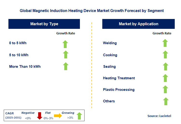 Magnetic Induction Heating Device Market by Segment