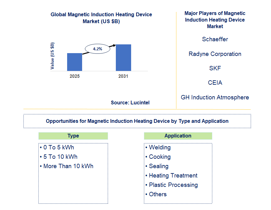 Magnetic Induction Heating Device Market Trends and Forecast