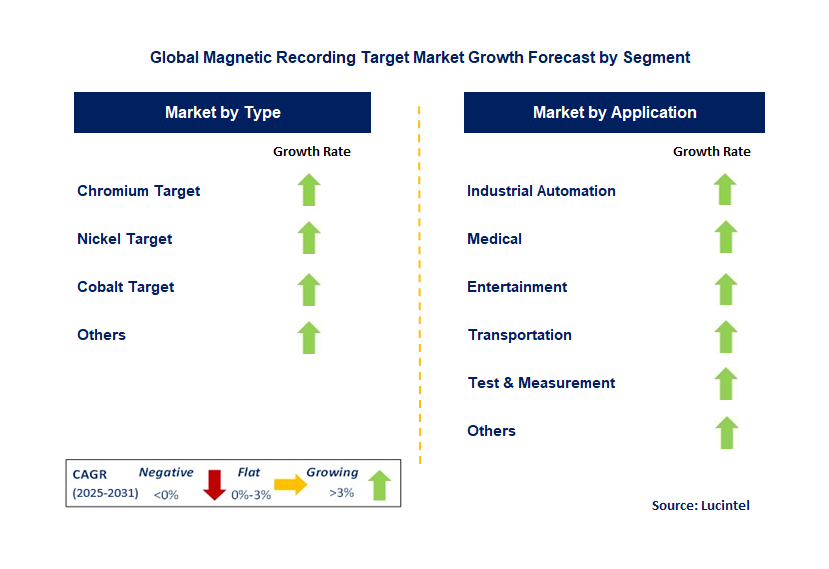 Magnetic Recording Target Market by Segment