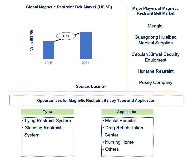 Magnetic Restraint Belt Market Trends and Forecast