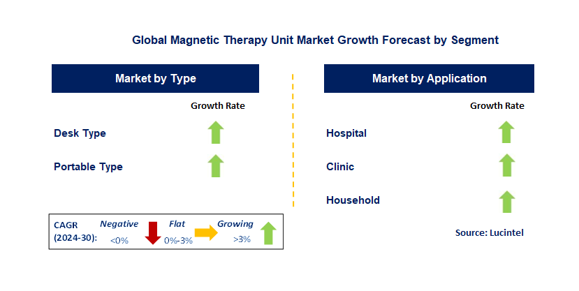 Magnetic Therapy Unit Market by Segment