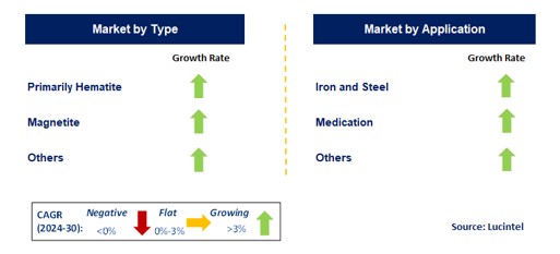 Magnetite Iron Ore by Segment