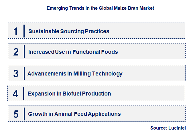 Emerging Trends in the Maize Bran Market