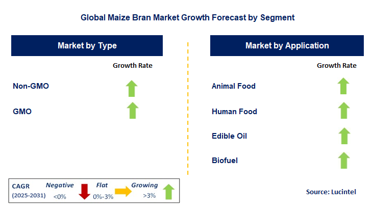 Maize Bran Market by Segment