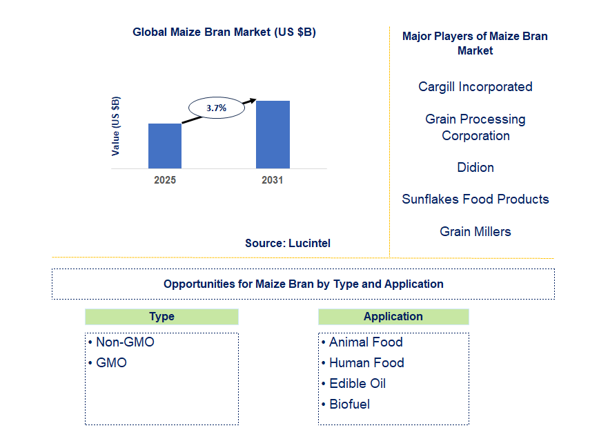 Maize Bran Market Trends and Forecast