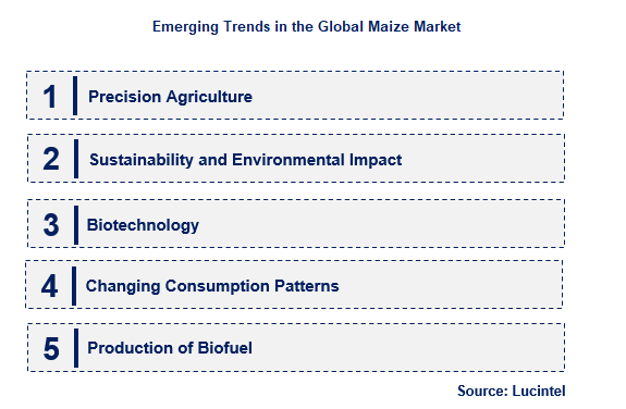 Maize by Emerging Trend