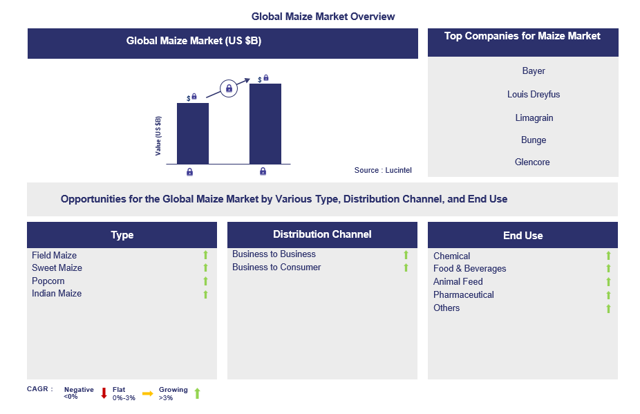 Maize Trends and Forecast