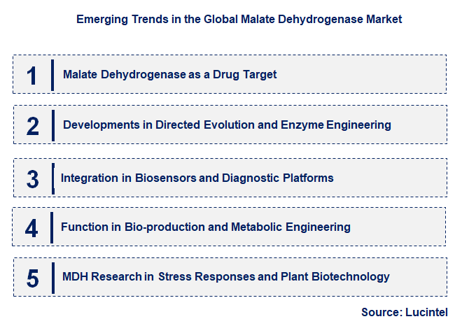 Emerging Trends in the Malate Dehydrogenase Market