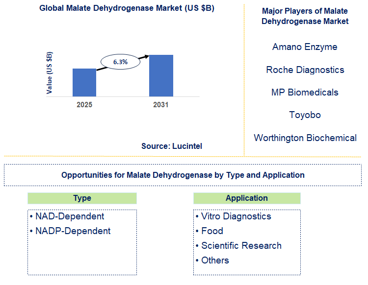 Malate Dehydrogenase Market Trends and Forecast