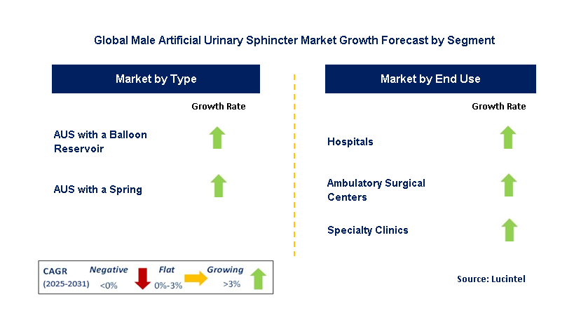 Male Artificial Urinary Sphincter Market by Segment