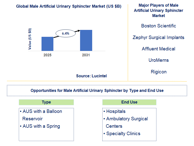 Male Artificial Urinary Sphincter Market Trends and Forecast