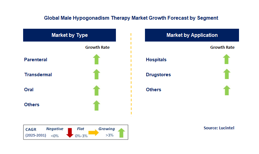 Male Hypogonadism Therapy Market by Segment