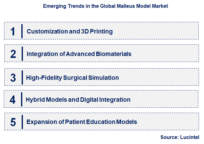 Emerging Trends in the Malleus Model Market