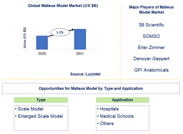 Malleus Model Market Trends and Forecast