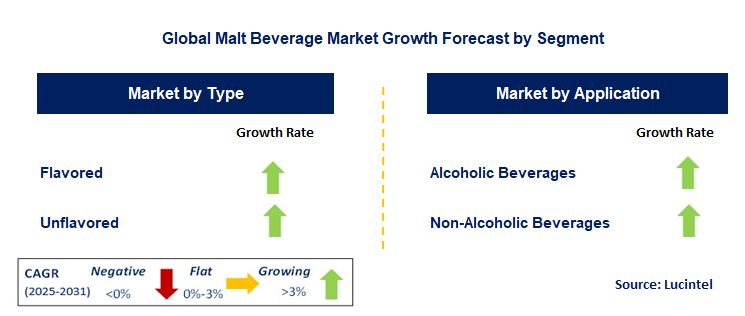 Malt Beverage Market by Segment