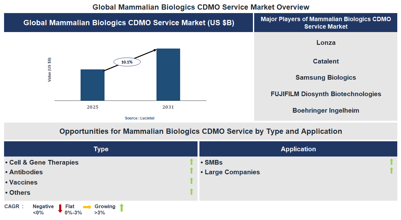 Mammalian Biologics CDMO Service Market Trends and Forecast