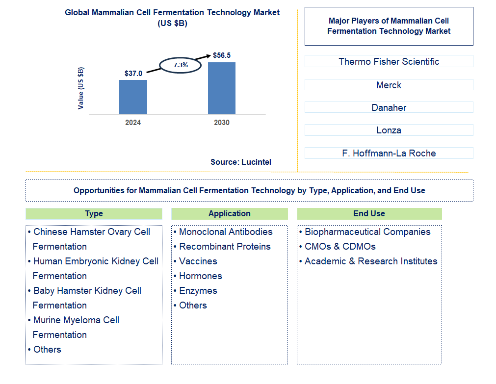 Mammalian Cell Fermentation Technology Trends and Forecast