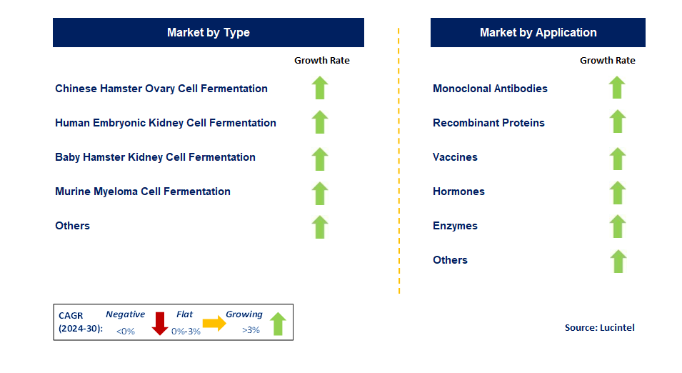 Mammalian Cell Fermentation Technology by Segment