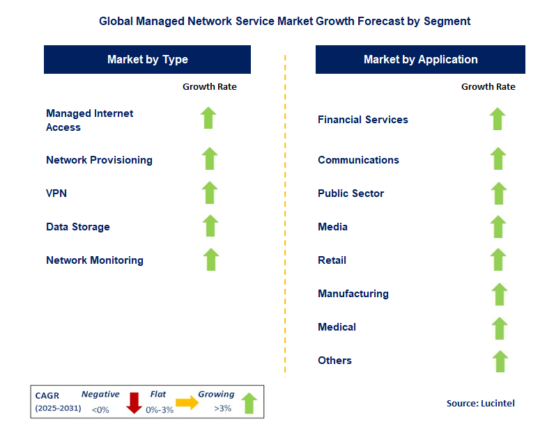 Managed Network Service Market by Segment